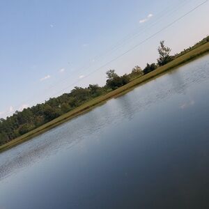 Meet your Posher, Joanne